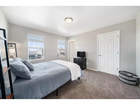 1819 Hydrangea Dr, Windsor, CO 80550 photo 23