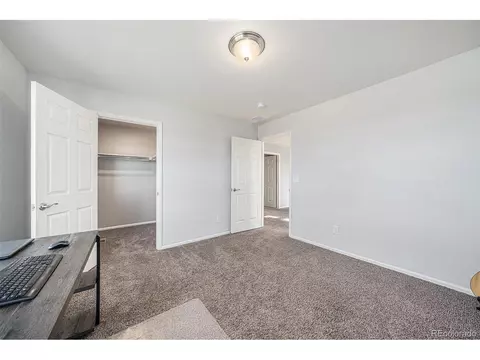1819 Hydrangea Dr, Windsor, CO 80550 photo 22