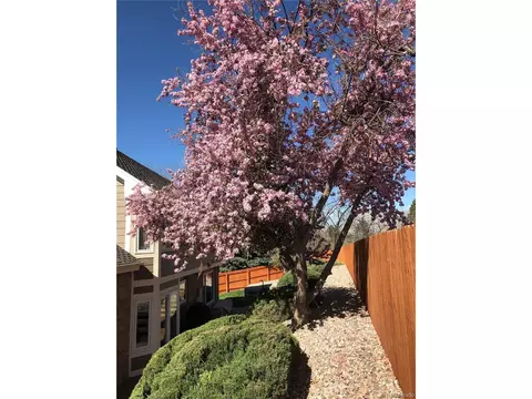 14327 E Layton Dr, Aurora, CO 80015 photo 45