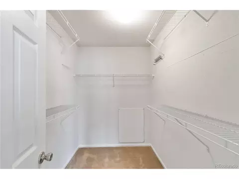 4100 Malaya St, Denver, CO 80249 photo 31