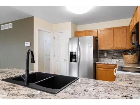 4100 Malaya St, Denver, CO 80249 photo 15