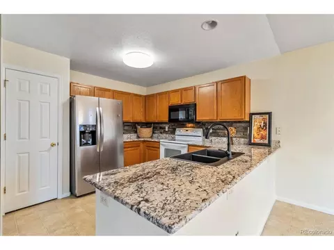 4100 Malaya St, Denver, CO 80249 photo 14