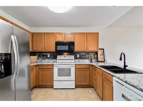 4100 Malaya St, Denver, CO 80249 photo 17