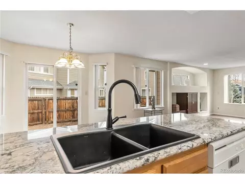 4100 Malaya St, Denver, CO 80249 photo 20
