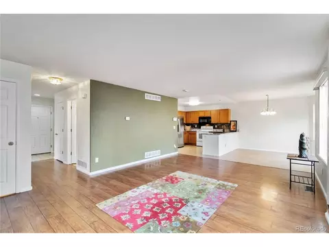 4100 Malaya St, Denver, CO 80249 photo 9