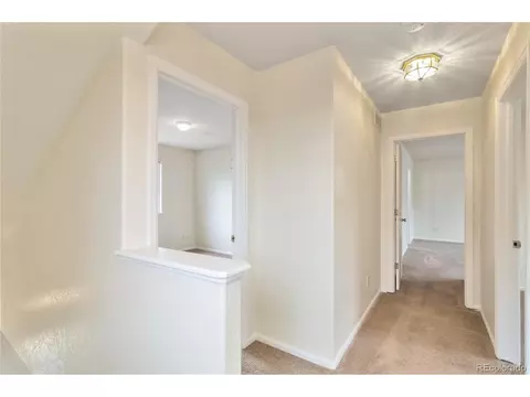 4100 Malaya St, Denver, CO 80249 photo 23