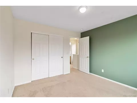 4100 Malaya St, Denver, CO 80249 photo 25