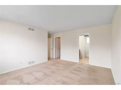 4100 Malaya St, Denver, CO 80249 photo 29