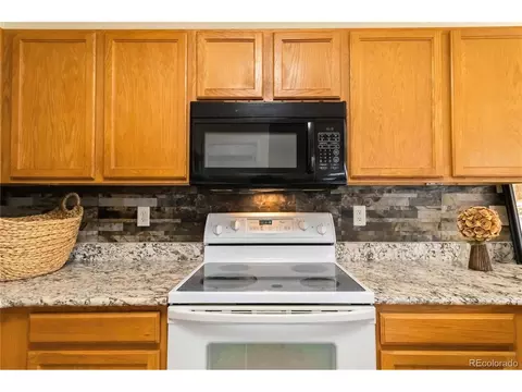 4100 Malaya St, Denver, CO 80249 photo 19
