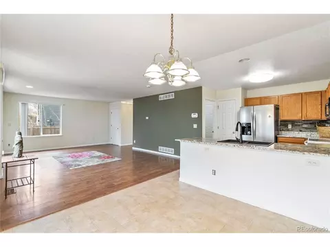 4100 Malaya St, Denver, CO 80249 photo 10