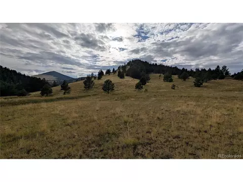842 Monarch Dr, Cripple Creek, CO 80813