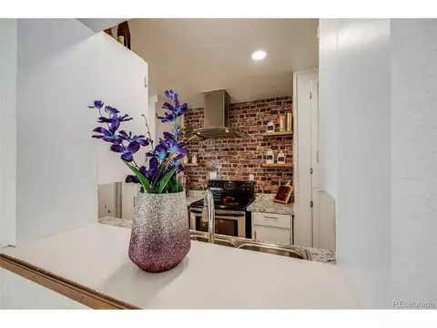 1441 E 84th Pl, Denver, CO 80229 photo 25