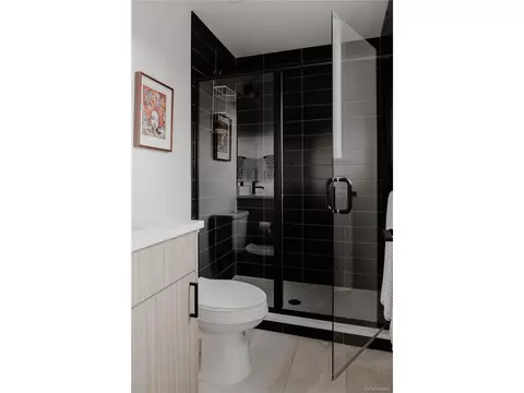 2645 Eudora St, Denver, CO 80207 photo 30