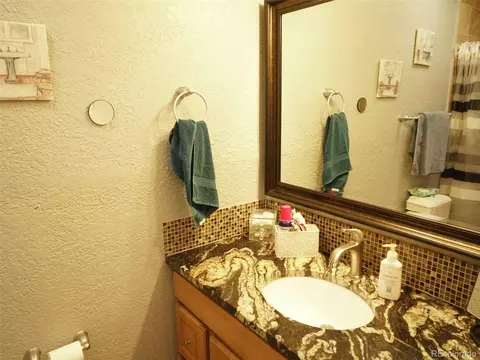 1461 E 95th Ave, Thornton, CO 80229 photo 14