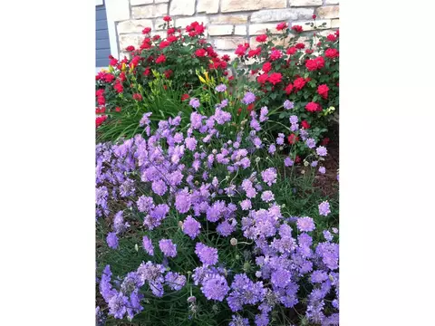 6830 Xavier Cir #3, Westminster, CO 80030 photo 23