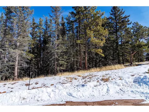405 Silvermoon Hts, Divide, CO 80814 photo 10