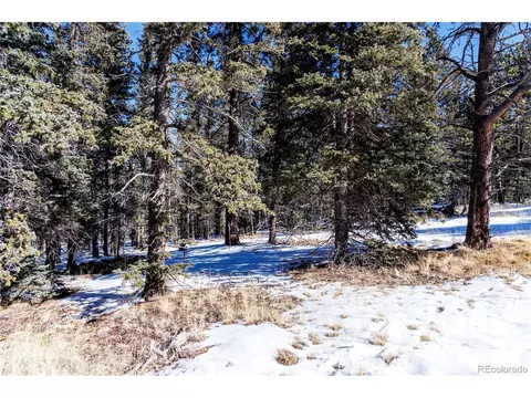 405 Silvermoon Hts, Divide, CO 80814 photo 12