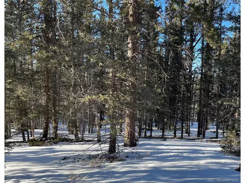 405 Silvermoon Hts, Divide, CO 80814 photo 11