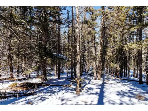 405 Silvermoon Hts, Divide, CO 80814 photo 8
