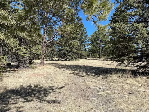 405 Silvermoon Hts, Divide, CO 80814 photo 3