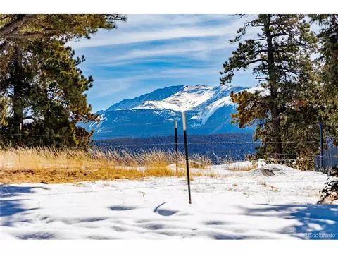 405 Silvermoon Hts, Divide, CO 80814 photo 4