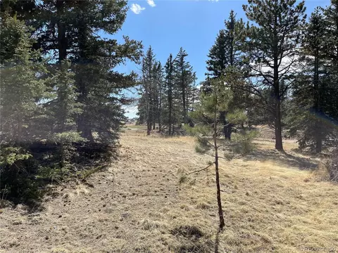 405 Silvermoon Hts, Divide, CO 80814 photo 2