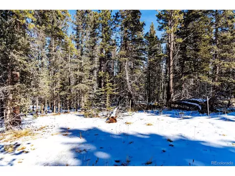 405 Silvermoon Hts, Divide, CO 80814 photo 9