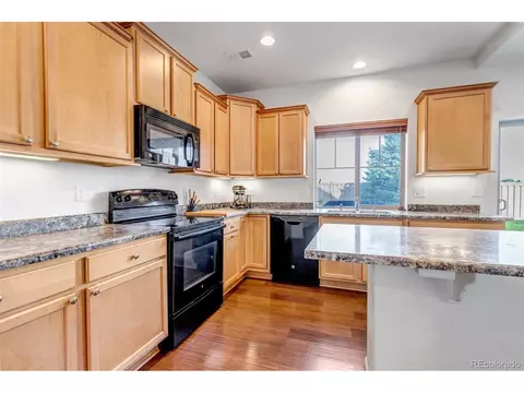 4572 Walden Way, Denver, CO 80249 photo 9