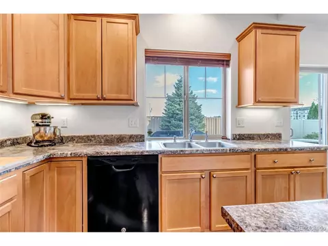 4572 Walden Way, Denver, CO 80249 photo 11