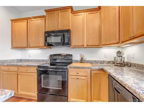 4572 Walden Way, Denver, CO 80249 photo 10