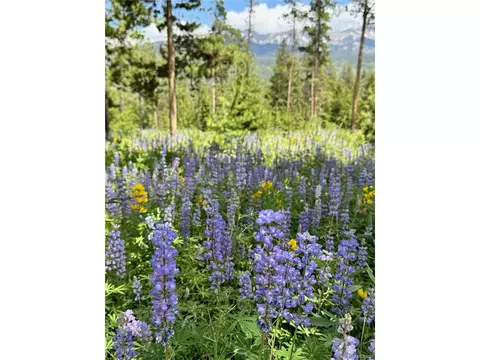 1000 Gcr 8304 Aka Sunset Dr, Tabernash, CO 80478 photo 44