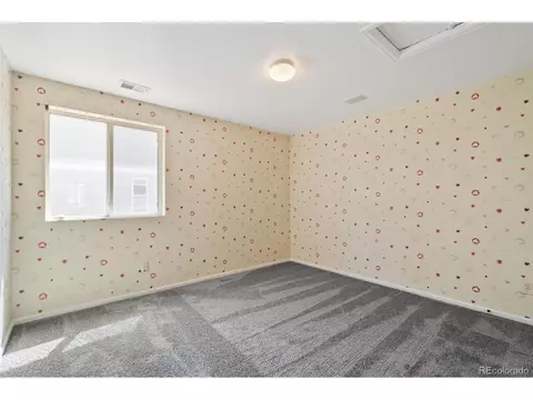 21620 E 48th Pl, Denver, CO 80249 photo 27