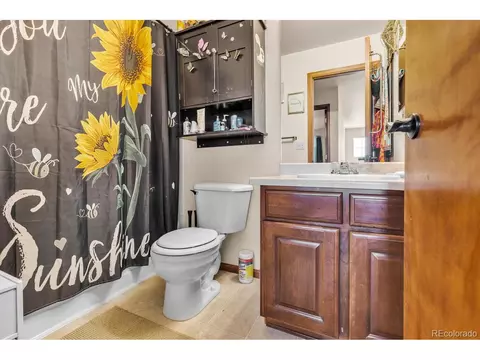19006 E Dickenson Dr, Aurora, CO 80013 photo 24