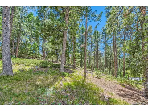 11034 Cordingly Rd, Conifer, CO 80433 photo 45