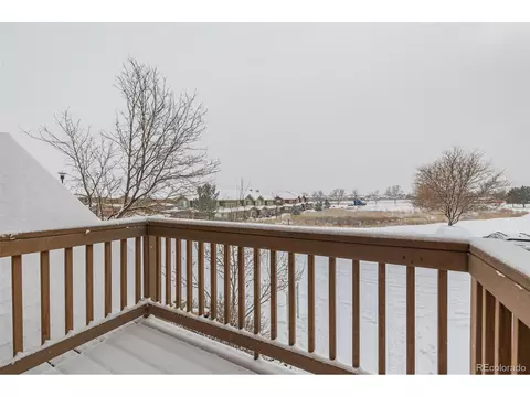 4695 E 98th Pl, Thornton, CO 80229 photo 38