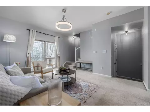 4695 E 98th Pl, Thornton, CO 80229 photo 11