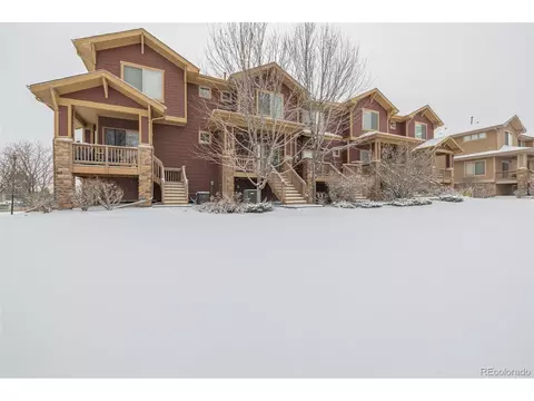 4695 E 98th Pl, Thornton, CO 80229 photo 43
