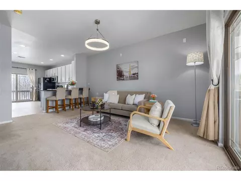 4695 E 98th Pl, Thornton, CO 80229 photo 6