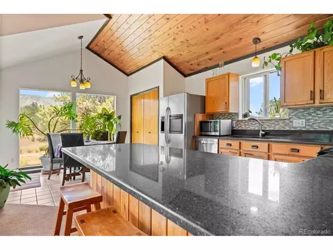 1682 Clark Rd, Bailey, CO 80421 photo 20