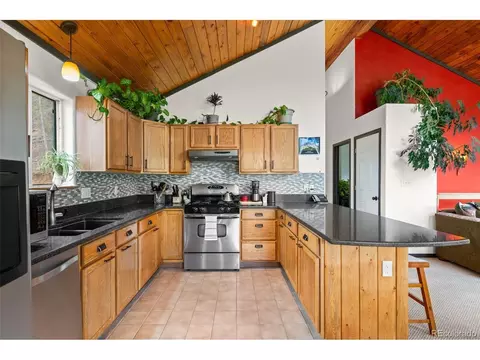1682 Clark Rd, Bailey, CO 80421 photo 19