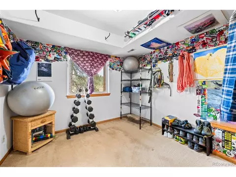 1682 Clark Rd, Bailey, CO 80421 photo 29