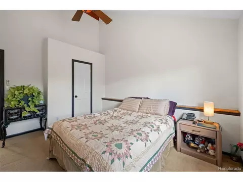 1682 Clark Rd, Bailey, CO 80421 photo 25