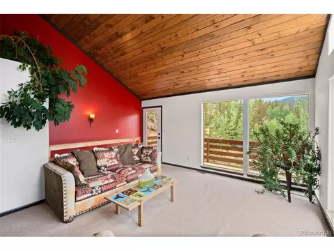 1682 Clark Rd, Bailey, CO 80421 photo 15