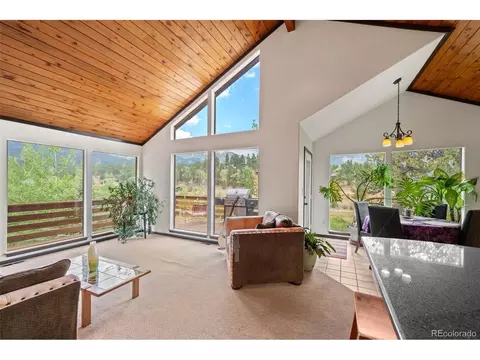 1682 Clark Rd, Bailey, CO 80421 photo 16