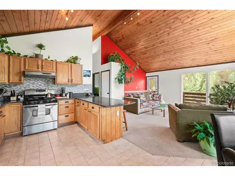 1682 Clark Rd, Bailey, CO 80421 photo 18