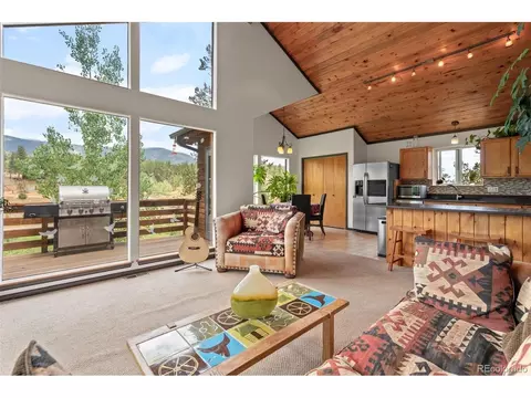 1682 Clark Rd, Bailey, CO 80421 photo 13