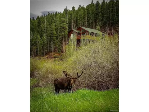 1682 Clark Rd, Bailey, CO 80421 photo 9