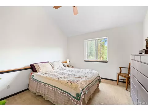 1682 Clark Rd, Bailey, CO 80421 photo 24