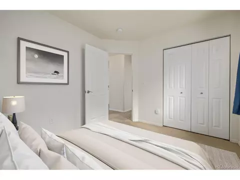 313 Windflower Way, Severance, CO 80550 photo 26