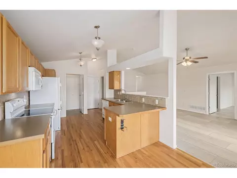 313 Windflower Way, Severance, CO 80550 photo 16